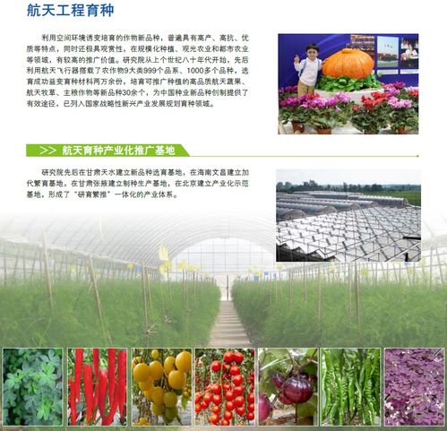 航天工程育种