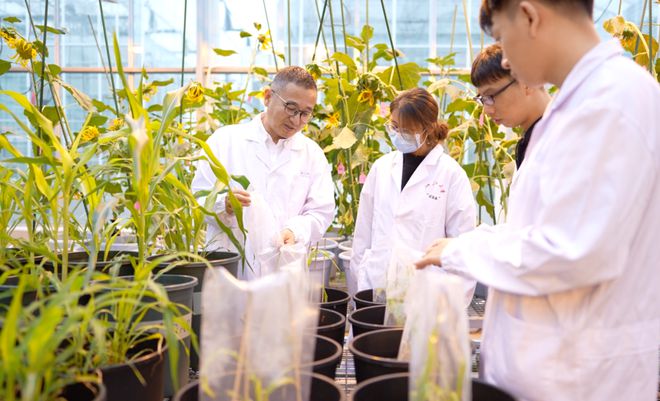 沈志成 创新生物育种技术，可以有所为有所不为丨新年问大咖