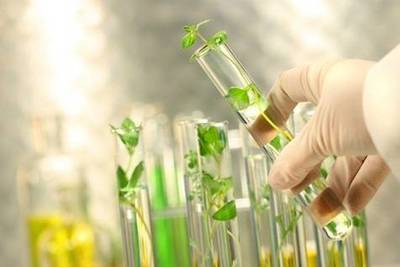 生物育种 驱动世界农业变革的核心引擎